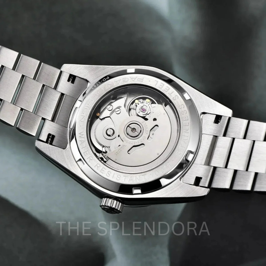 White PAGANI DESIGN 2025 New Men's Watches Mechanical Top brand Luxury Automatic Watch For Men